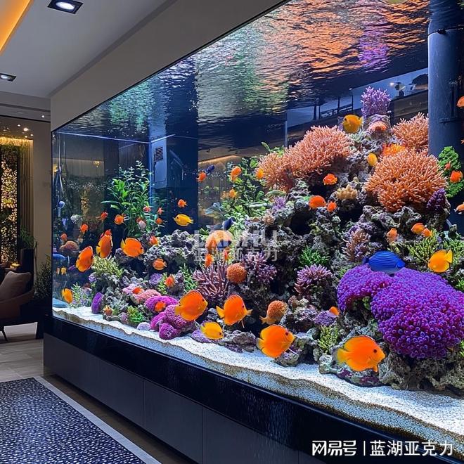 大型鱼缸里的灯光设计有多重要？