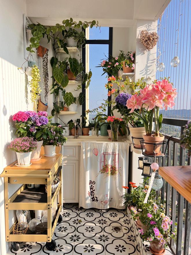 广东一女子的4㎡阳台火了！很多人见了都争